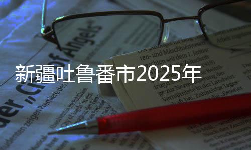 新疆吐魯番市2025年一季度重大項目集中開復工