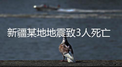 新疆某地地震致3人死亡傳聞系假——辟謠與解析