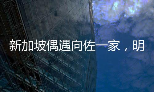 新加坡偶遇向佐一家，明星家庭的溫馨瞬間