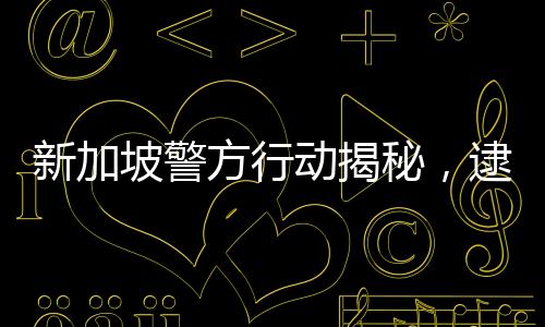 新加坡警方行動(dòng)揭秘，逮捕九人與DeepSeek傳聞的背后真相揭秘