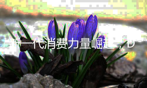 新一代消費力量崛起，DeepSeek一天吸引逾3.3億交易，瞄準零零后市場趨勢解析
