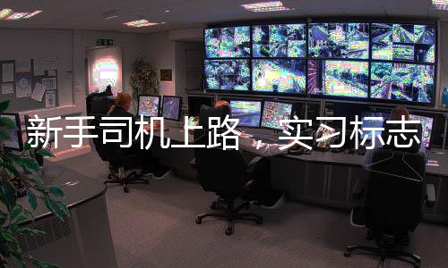 新手司機上路，實習標志背后的安全駕駛之路