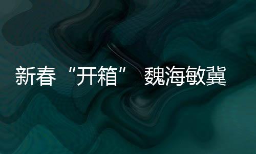 新春“開箱” 魏海敏冀兩岸共同弘揚傳統(tǒng)戲曲