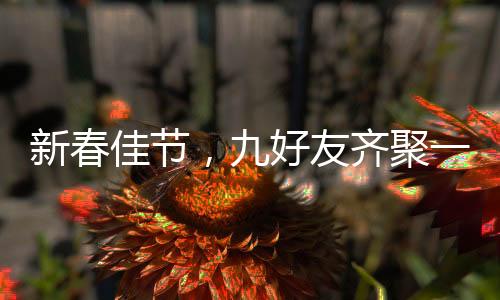 新春佳節(jié)，九好友齊聚一堂共賀父母拜年之喜