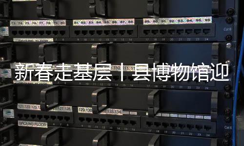 新春走基層丨縣博物館迎來參觀潮