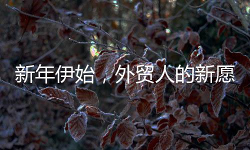 新年伊始，外貿(mào)人的新愿景——在外貿(mào)行業(yè)中探索前行的心路歷程