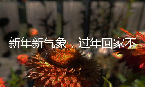 新年新氣象，過(guò)年回家不玩手機(jī)，這些事情值得一試