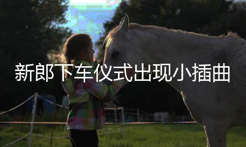 新郎下車儀式出現(xiàn)小插曲，重新開(kāi)啟幸福旅程