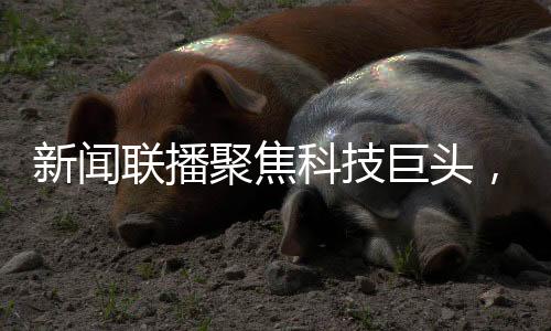 新聞聯(lián)播聚焦科技巨頭，王傳福與雷軍共同亮相熒屏大放異彩