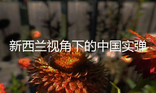 新西蘭視角下的中國實彈演習(xí)，符合國際法的實踐