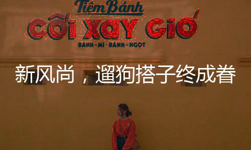 新風尚，遛狗搭子終成眷屬，婚禮隨份子時狗狗名字成亮點