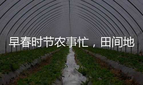 早春時節(jié)農(nóng)事忙，田間地頭見繁忙景象