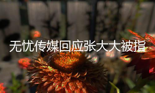 無憂傳媒回應(yīng)張大大被指霸凌員工，真相究竟如何？