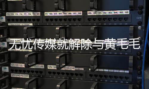 無(wú)憂傳媒就解除與黃毛毛合約一事作出回應(yīng)