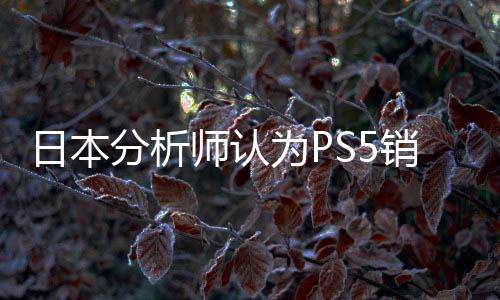 日本分析師認(rèn)為PS5銷量虛高 而NS2將大賣特賣