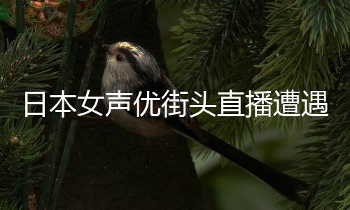 日本女聲優(yōu)街頭直播遭遇持刀襲擊致死事件震撼全球動(dòng)漫界