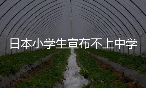 日本小學(xué)生宣布不上中學(xué)引熱議 游戲直播過的很好
