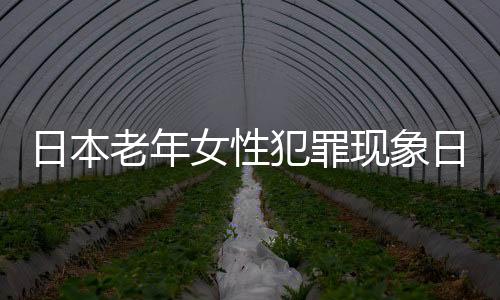日本老年女性犯罪現(xiàn)象日益嚴(yán)重，多重因素引發(fā)關(guān)注熱點(diǎn)