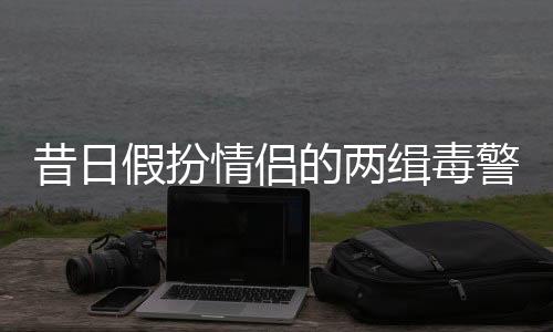 昔日假扮情侶的兩緝毒警今日訂婚，英雄路上的浪漫篇章