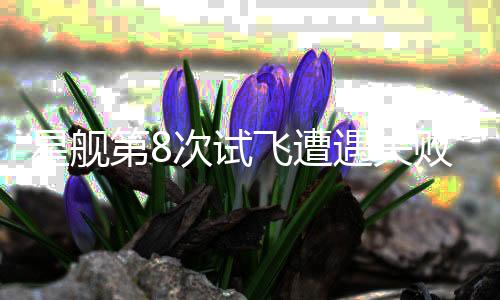 星艦第8次試飛遭遇失敗，飛船空中解體事件調(diào)查