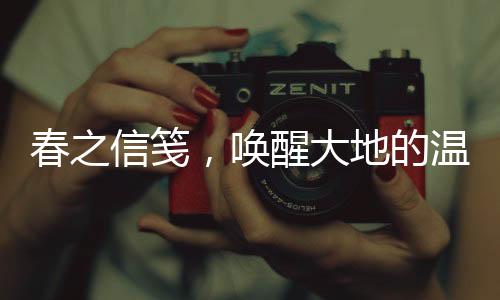 春之信箋，喚醒大地的溫柔來信
