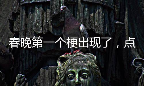春晚第一個(gè)梗出現(xiàn)了，點(diǎn)燃全民歡樂(lè)之夜的一把火