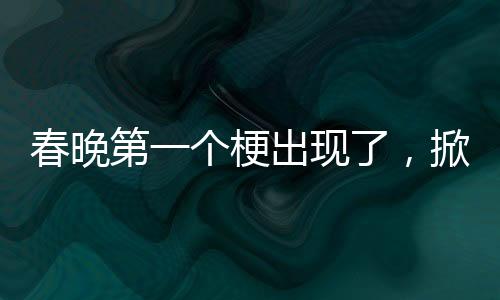 春晚第一個(gè)梗出現(xiàn)了，掀起全民歡樂(lè)的熱潮