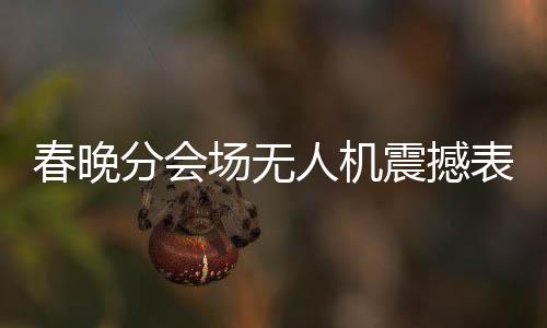 春晚分會(huì)場(chǎng)無(wú)人機(jī)震撼表演，科技與藝術(shù)的完美融合