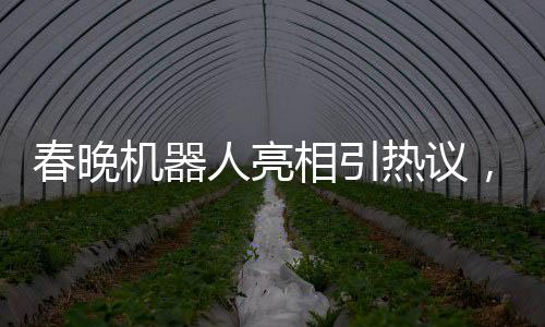 春晚機器人亮相引熱議，下場時腳步引發(fā)關(guān)注