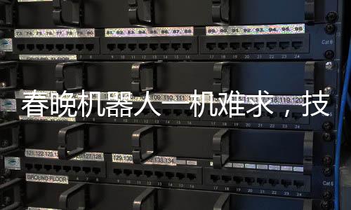 春晚機(jī)器人一機(jī)難求，技術(shù)與文化的融合引發(fā)關(guān)注熱潮