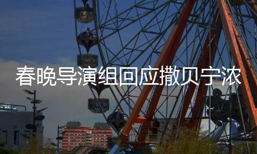 春晚導(dǎo)演組回應(yīng)撒貝寧濃眉大眼——深度解讀背后的故事