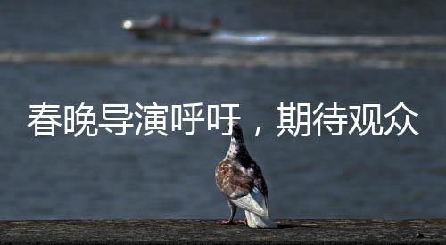 春晚導演呼吁，期待觀眾對我們寬容以待