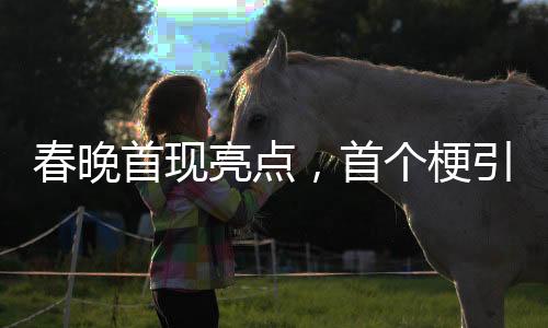 春晚首現(xiàn)亮點，首個梗引爆全場，觀眾熱議不斷