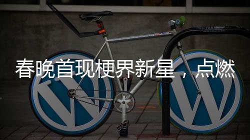 春晚首現(xiàn)梗界新星，點燃全民歡樂之夜