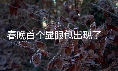 春晚首個顯眼包出現(xiàn)了，全新亮點(diǎn)展現(xiàn)傳統(tǒng)魅力