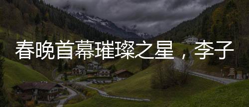 春晚首幕璀璨之星，李子柒成為首個女生鏡頭焦點