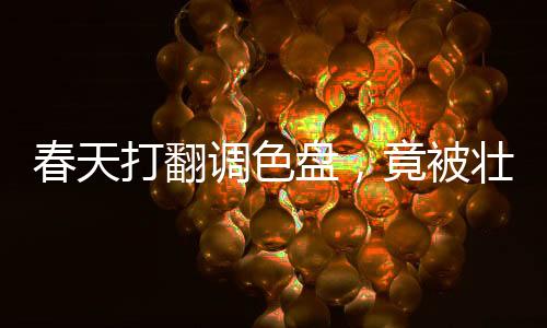 春天打翻調(diào)色盤，竟被壯鄉(xiāng)人蒸成了飯！