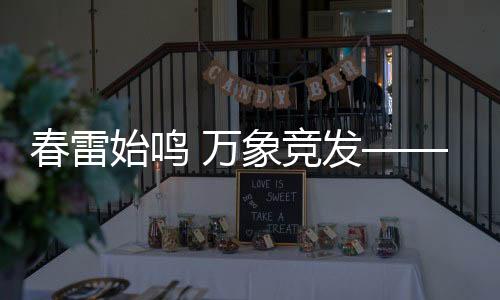 春雷始鳴 萬象競發(fā)——春季生機勃發(fā)之際的新篇章
