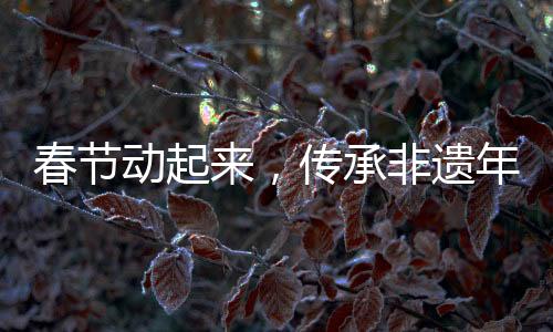 春節(jié)動起來，傳承非遺年味兒