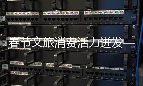 春節(jié)文旅消費活力迸發(fā)——節(jié)日盛宴激發(fā)文旅市場新活力