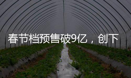 春節(jié)檔預(yù)售破9億，創(chuàng)下了電影市場新紀(jì)錄