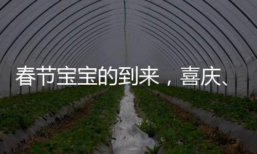 春節(jié)寶寶的到來，喜慶、希望與未來的美好序曲