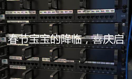 春節(jié)寶寶的降臨，喜慶啟航，共迎新生