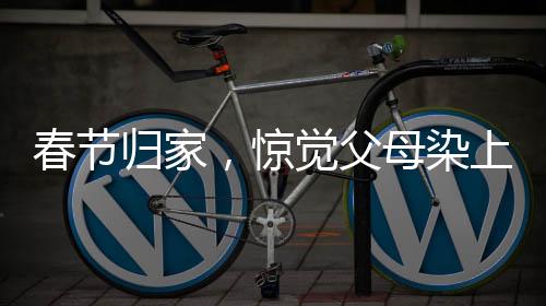 春節(jié)歸家，驚覺父母染上網(wǎng)癮