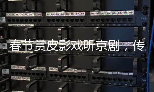 春節(jié)賞皮影戲聽京劇，傳統(tǒng)文化藝術(shù)的獨(dú)特魅力
