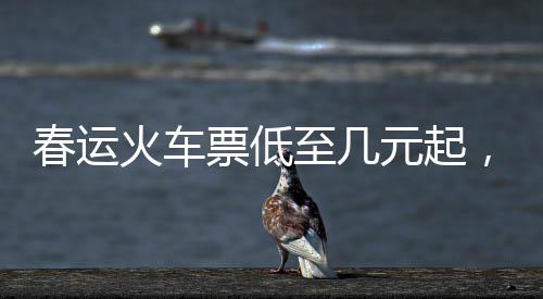 春運火車票低至幾元起，春節(jié)回家更輕松——深度解析春運火車票優(yōu)惠政策