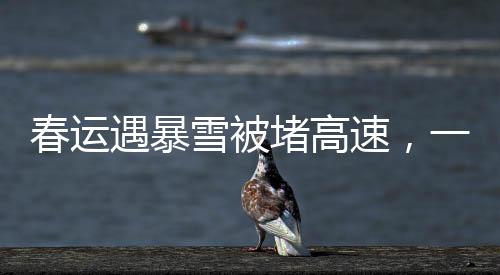 春運(yùn)遇暴雪被堵高速，一場(chǎng)突如其來的挑戰(zhàn)與應(yīng)對(duì)之道