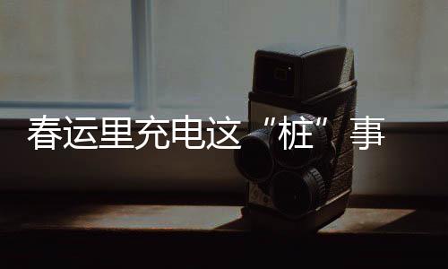 春運(yùn)里充電這“樁”事 車主能及時(shí)快速充上電嗎？