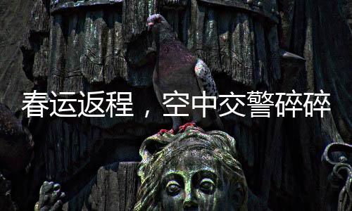 春運(yùn)返程，空中交警碎碎念