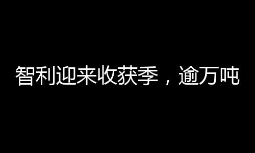 智利迎來收獲季，逾萬噸車?yán)遄恿料嘀袊袌?chǎng)